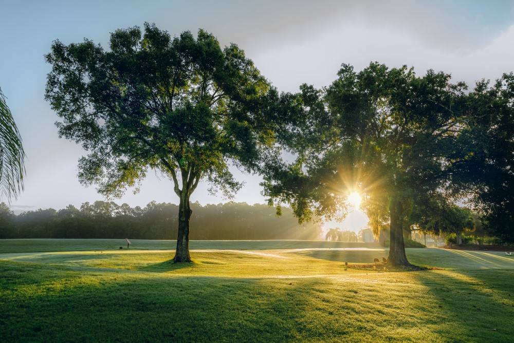 Cimarrone Golf Club in Florida